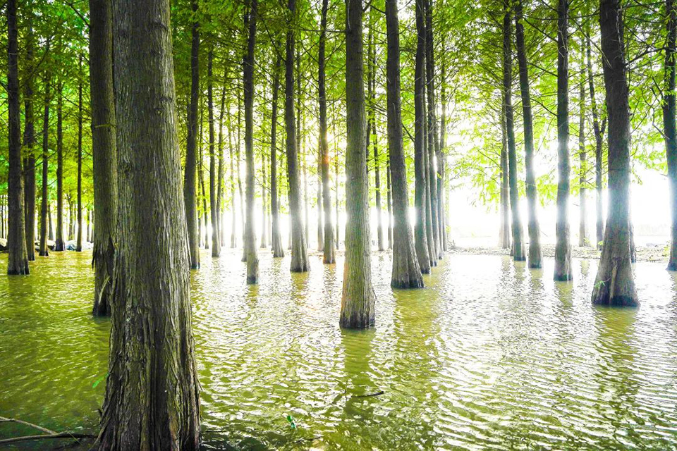 1666162304681006.jpg 2.jpg